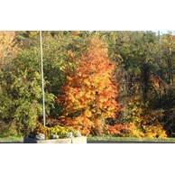 washington-pittsburgh